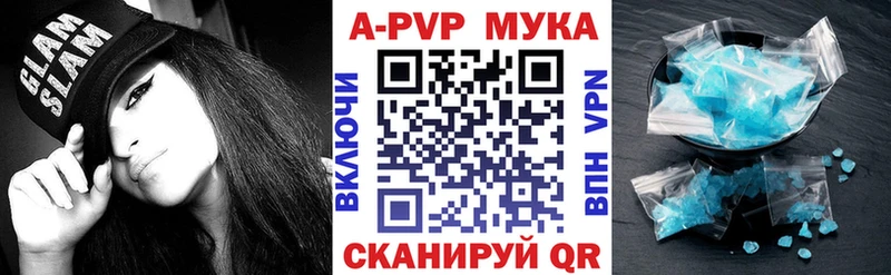 Альфа ПВП СК КРИС  кракен вход  Шенкурск 