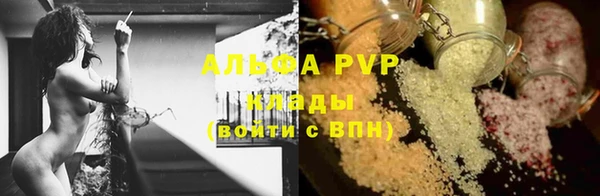 индика Липки