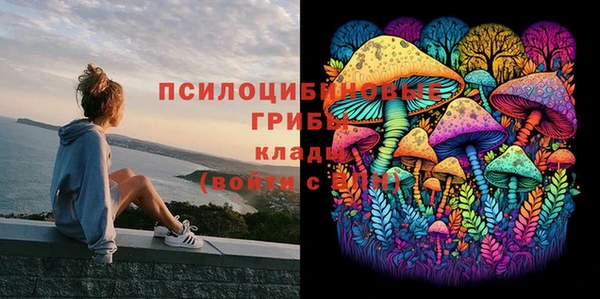 дмт Лихославль