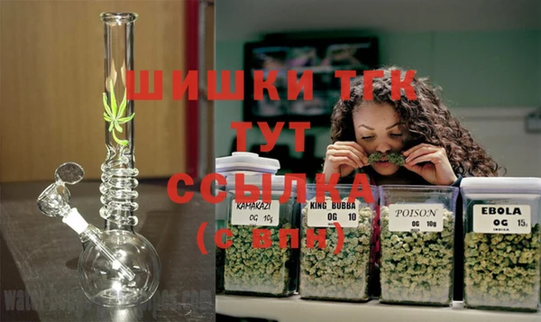 индика Липки