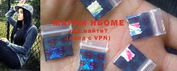индика Липки