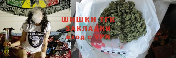 индика Липки