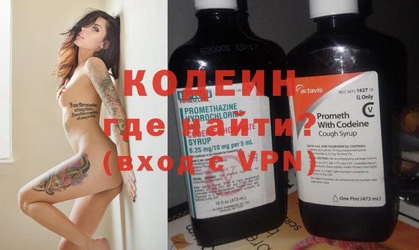 хмурый Лиски
