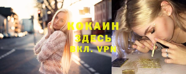 индика Липки