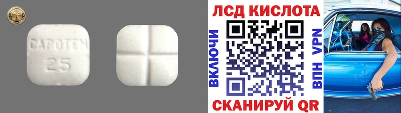 ЛСД экстази ecstasy  Шенкурск 