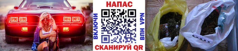 shop какой сайт KRAKEN рабочий сайт Шенкурск Каннабис план